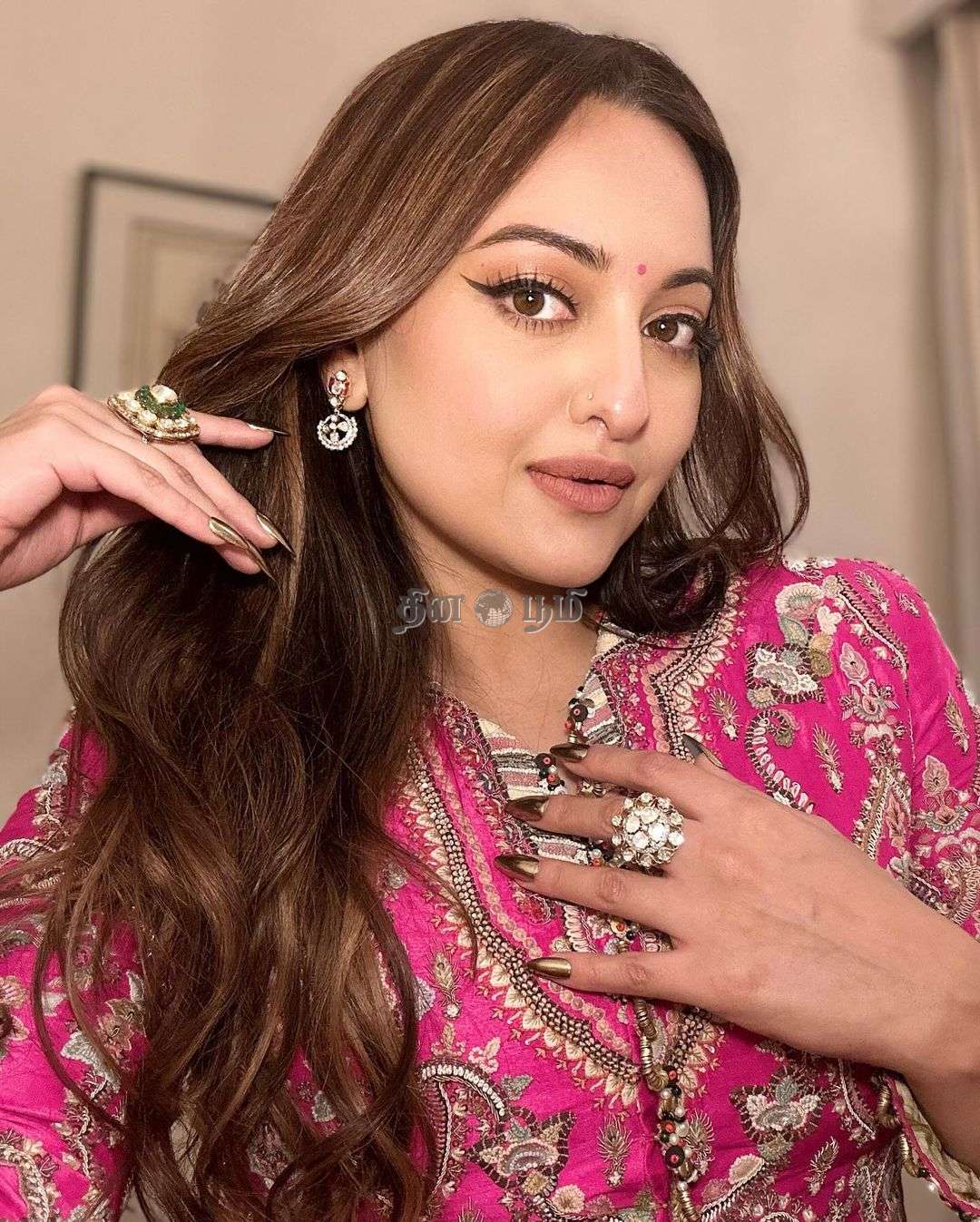 Sonakshi Sinha (5)