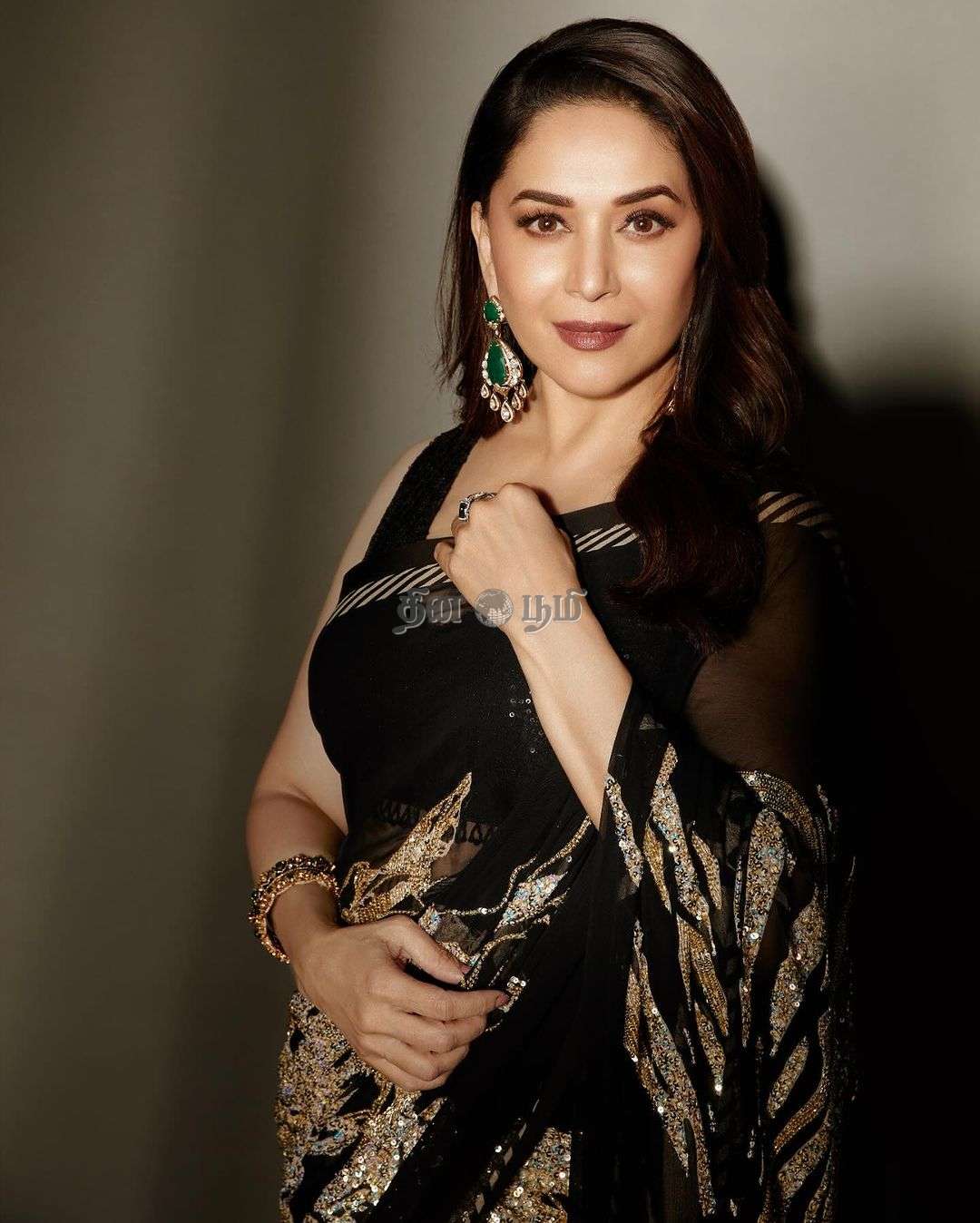 Madhuri Dixit (4)