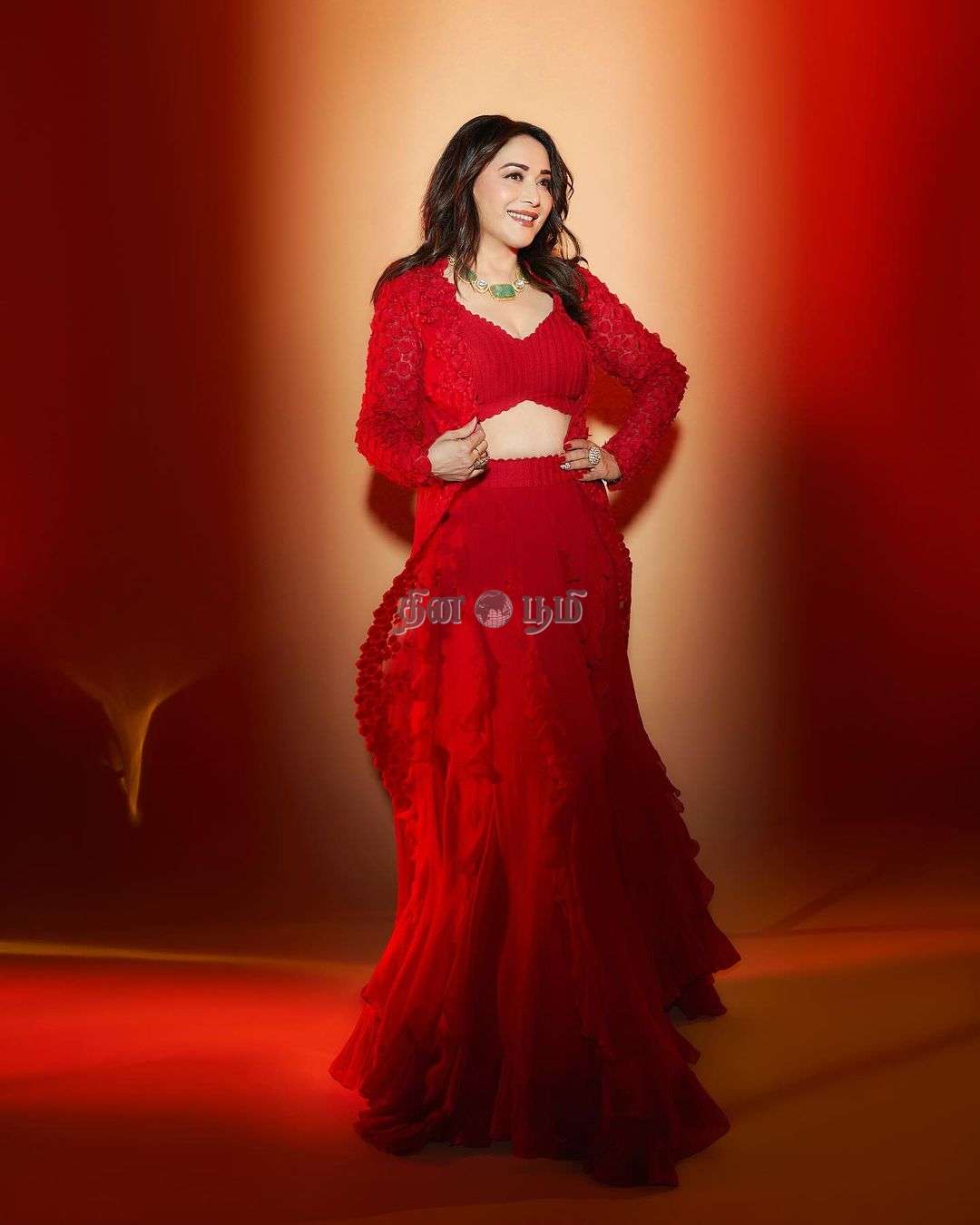 Madhuri Dixit Nene (7)