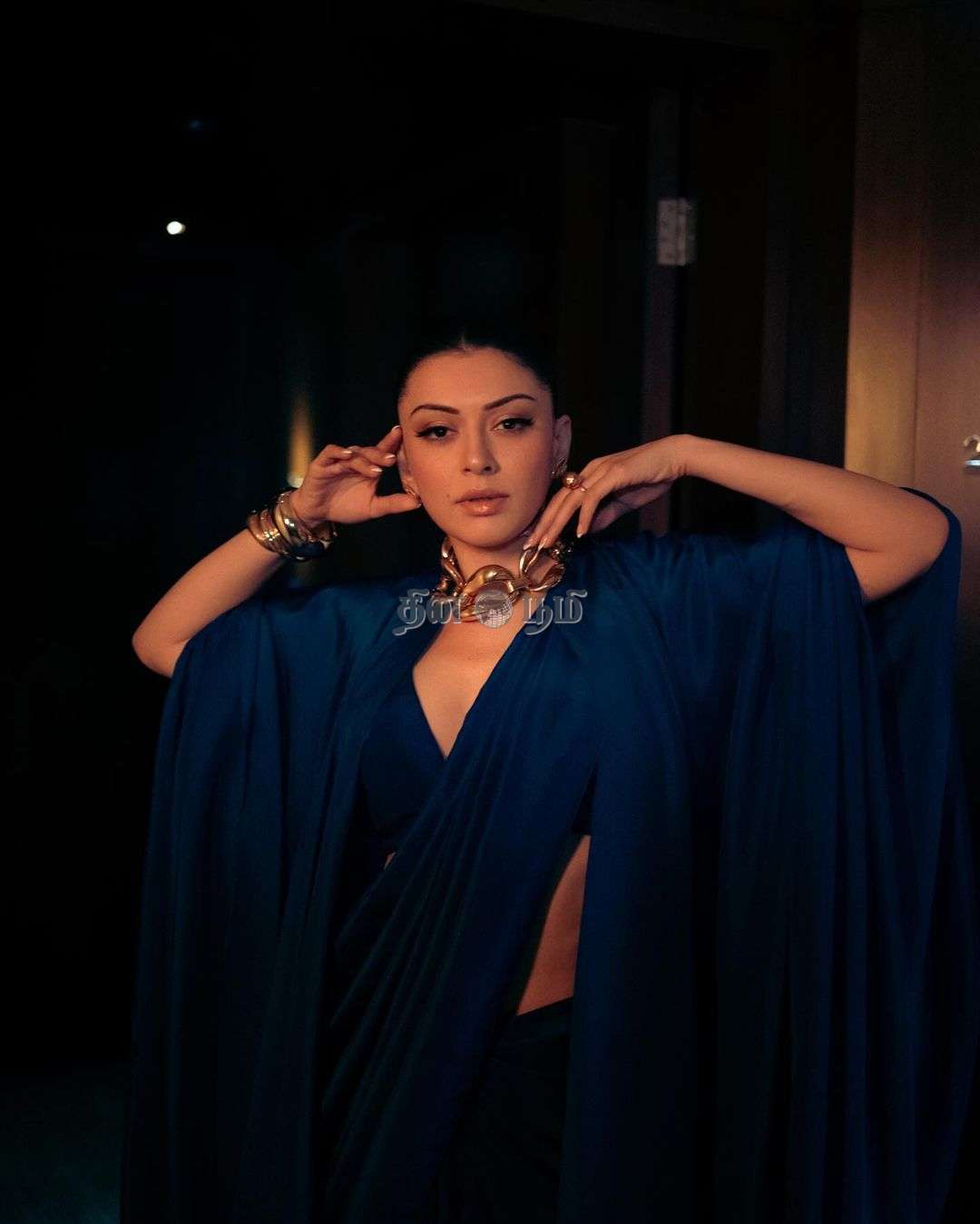 Hansika Motwani (7)