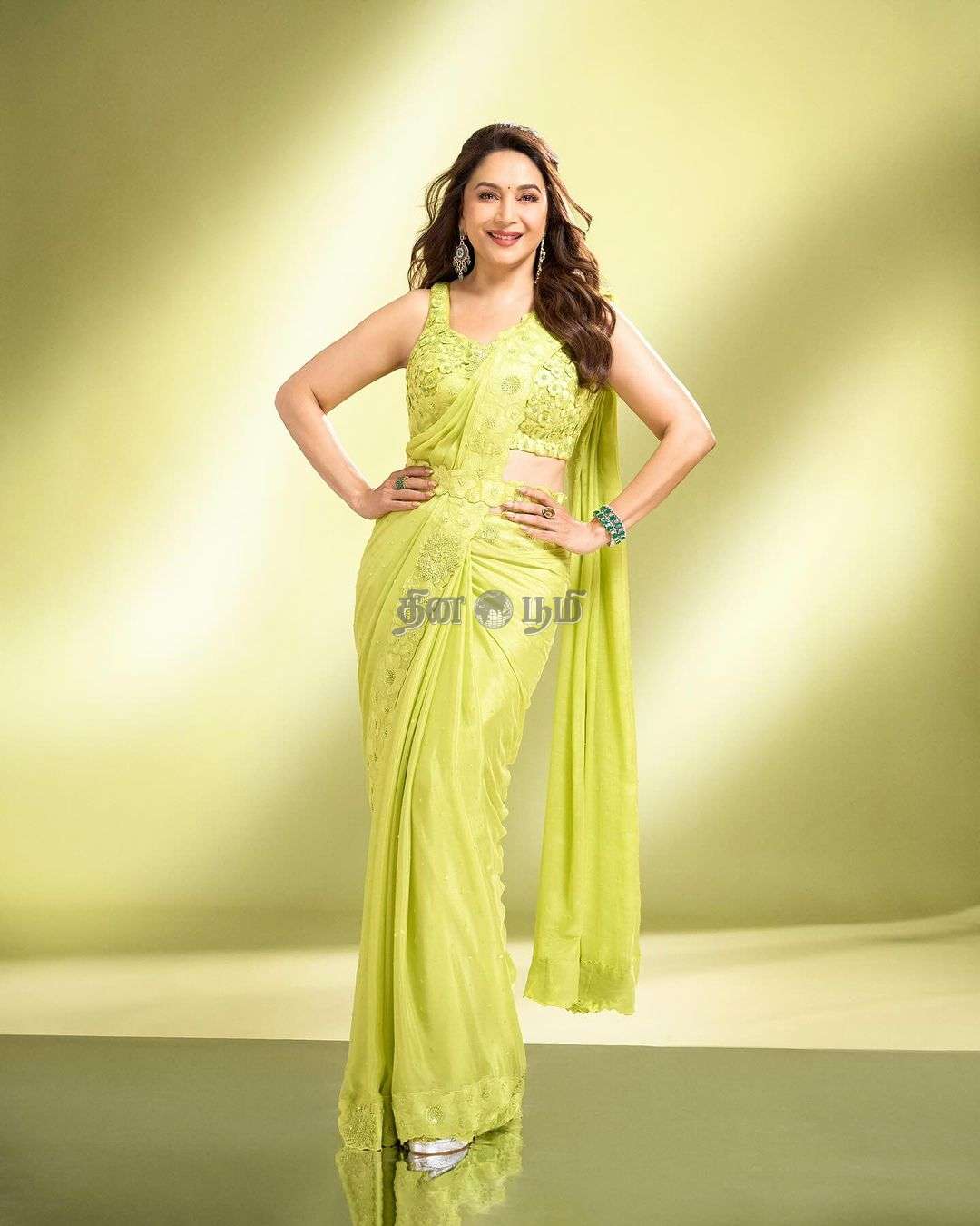 Madhuri Dixit Nene (5)