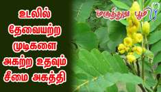 Seemai Agathi- 