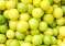 Lemons 2025-04-18