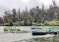 Ooty 2024-05-31