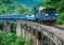 Nilgiri