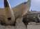ahmedabad-plane-crash-3