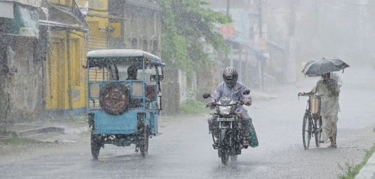 Rain 2024-12-02