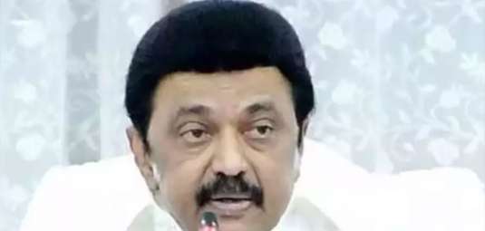 Stalin 2024-11-26