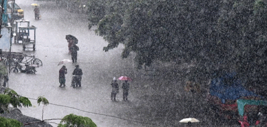 Rain Wheather 2024-11-25