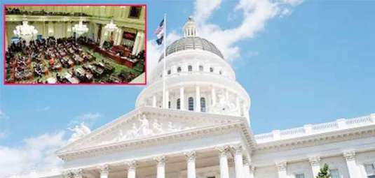 Whit haues 2023-08-29