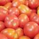 Tomato 2022-08-30