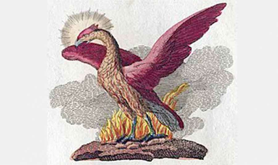 Phoenix 2022-04-22