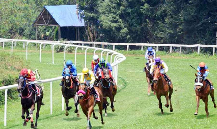 Ooty-horse 2022-04-30