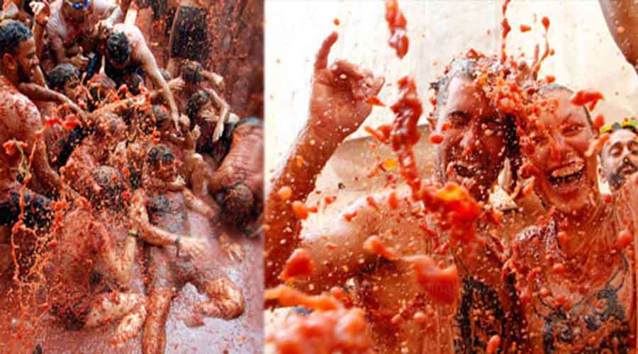 tomato-festivel-2022-09-01