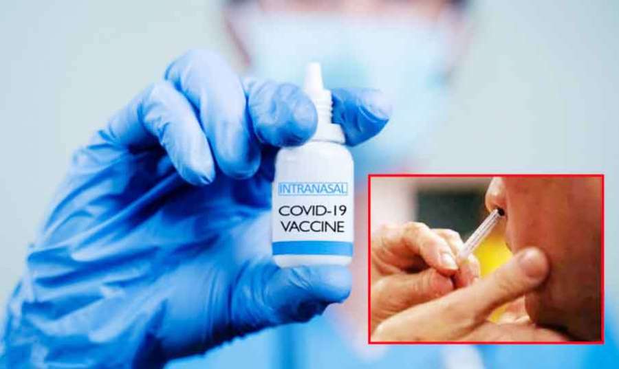 Corona-vaccine 2022 09 06