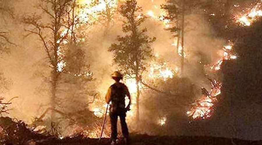 Forest-Fire 2022-09-08