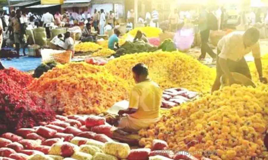 Dowali-flowers 2022-10-23