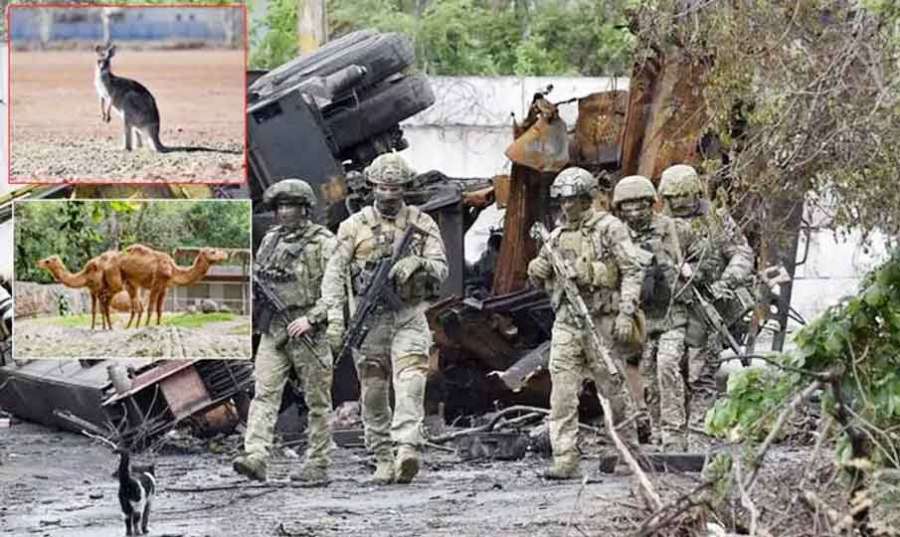 Russian-soldiers 2022-11-04