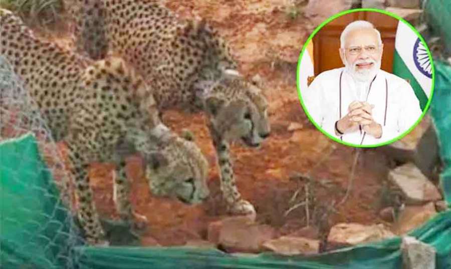 Modi 2022-11-06