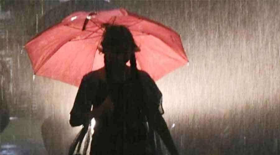 Rain- -2022-11-11