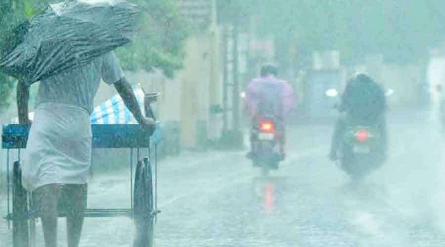 Rain 2022-11-24