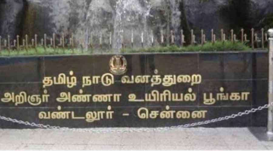 Vandalur-Zoo-2022-12-10