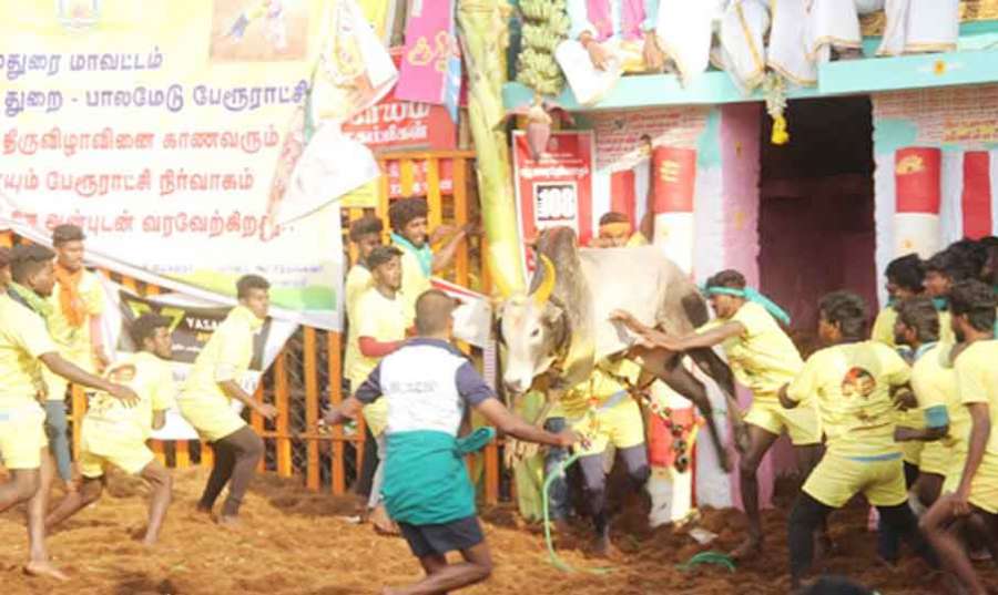 Palamedu 2023-01-16