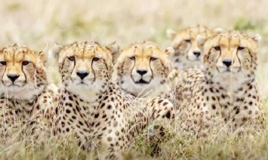 Namibia 2023 02 12