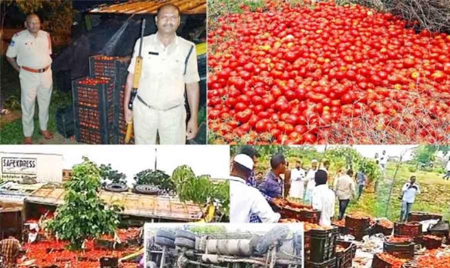 Tomato-truck 2023-07-24