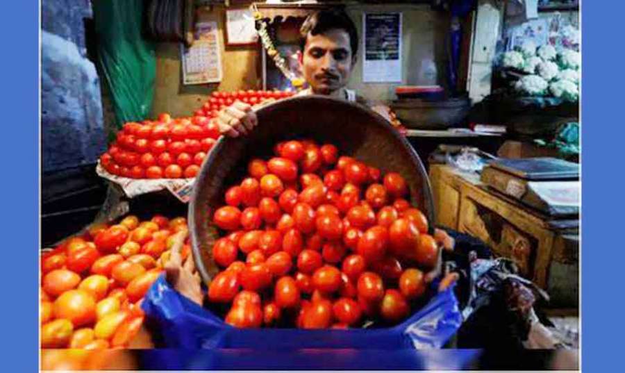 Tomatoe 2023 07-12
