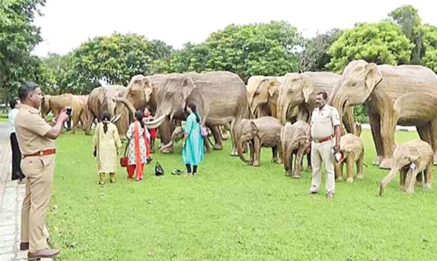 Mamallapuram 2023-07-28