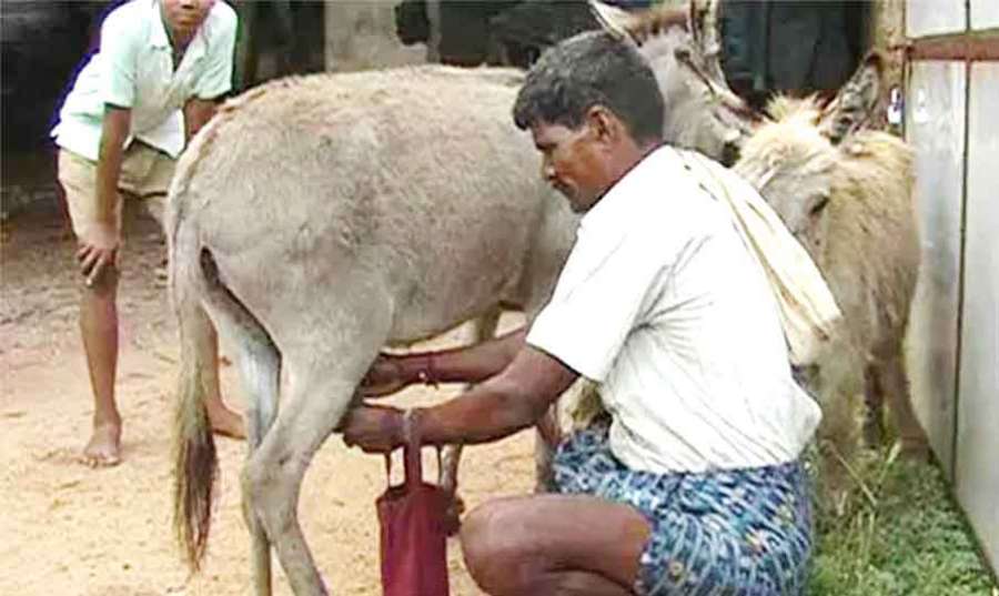 Andhra-Telangana 2023 07 31
