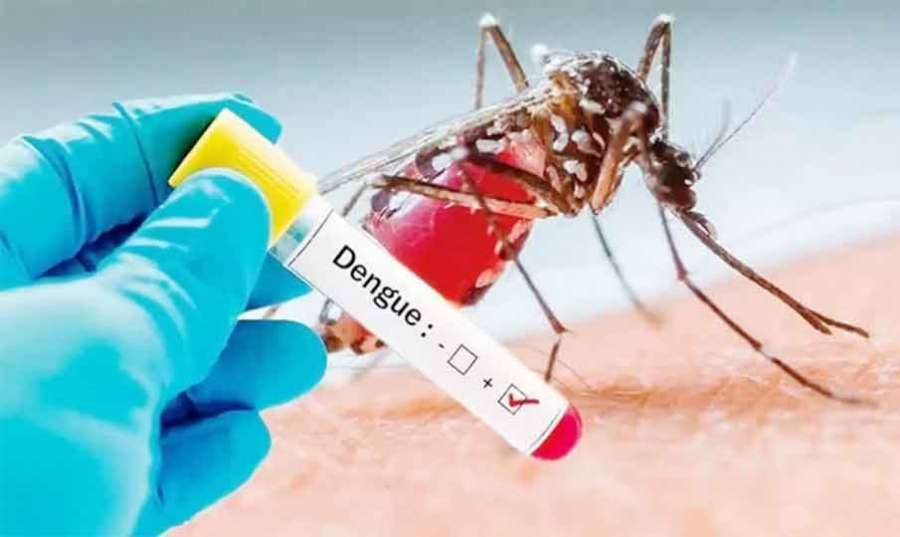 Dengue-fever 2023 06 20