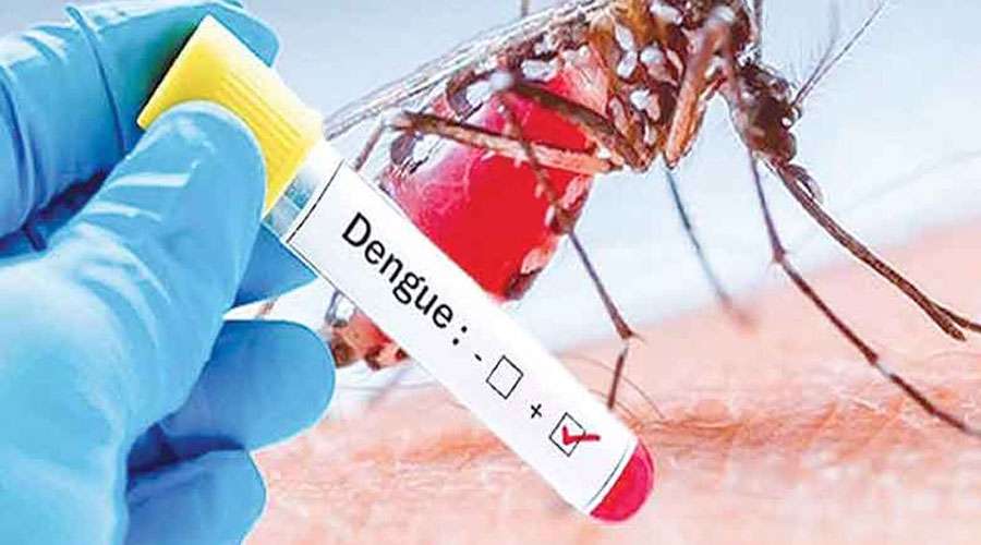 Dengue 2023-09-28