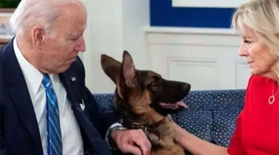 Joe-Biden-Dog-2023-09-28