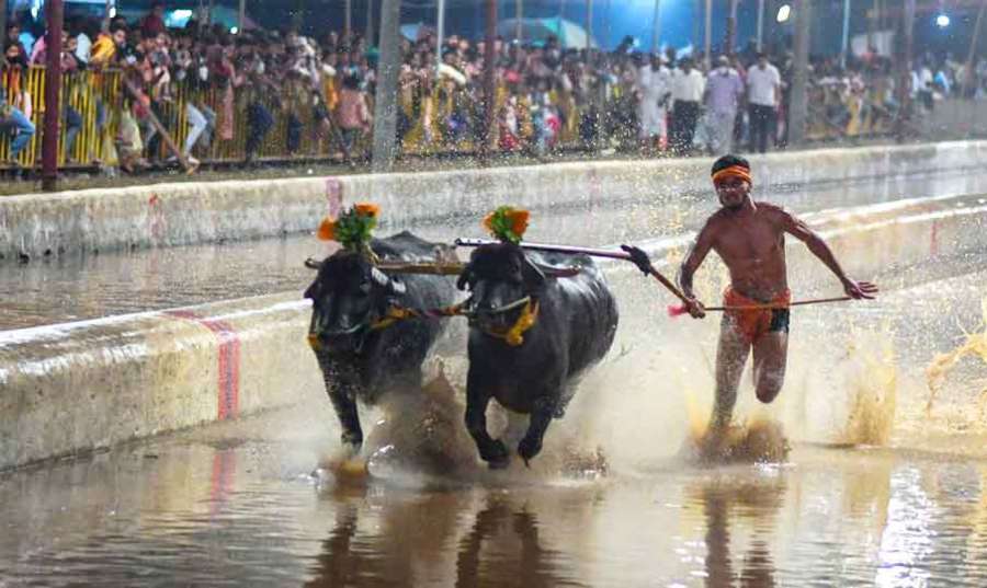 Bangalore 2023-11-26