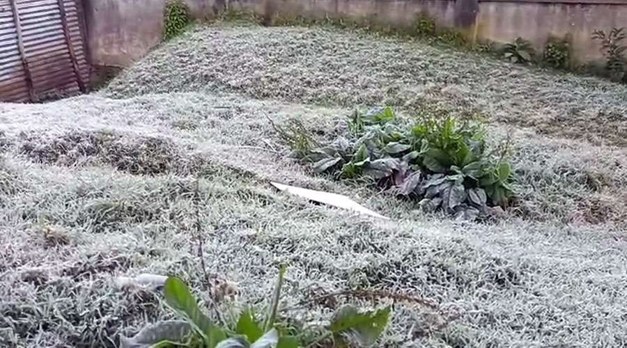 Ooty-2024-01-28