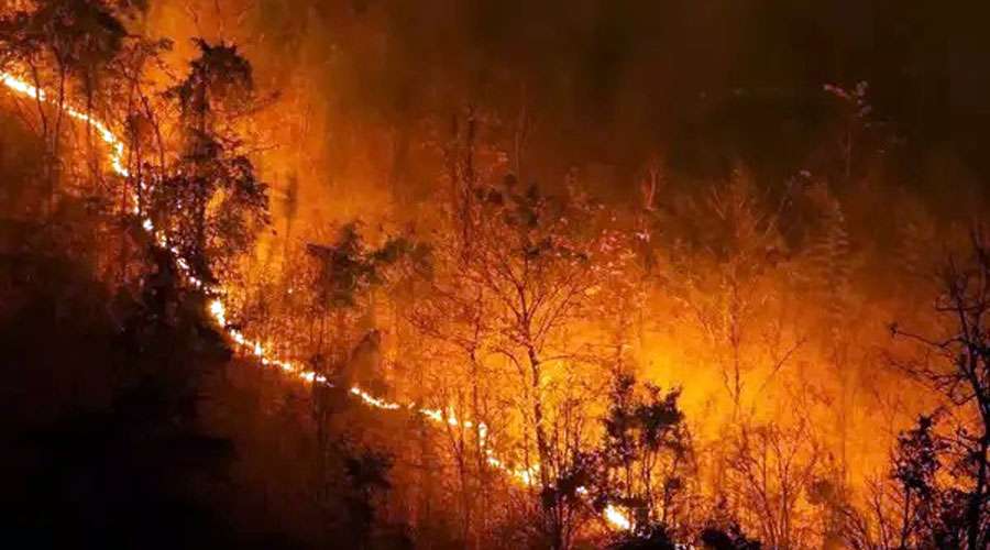 Uttarakhand-Forest-Fire-202