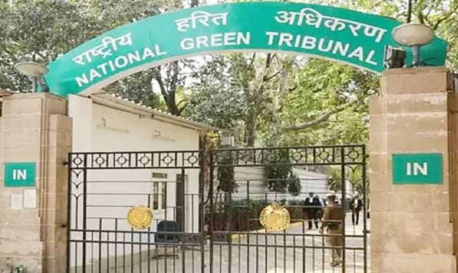 National-Green 2024 05 21