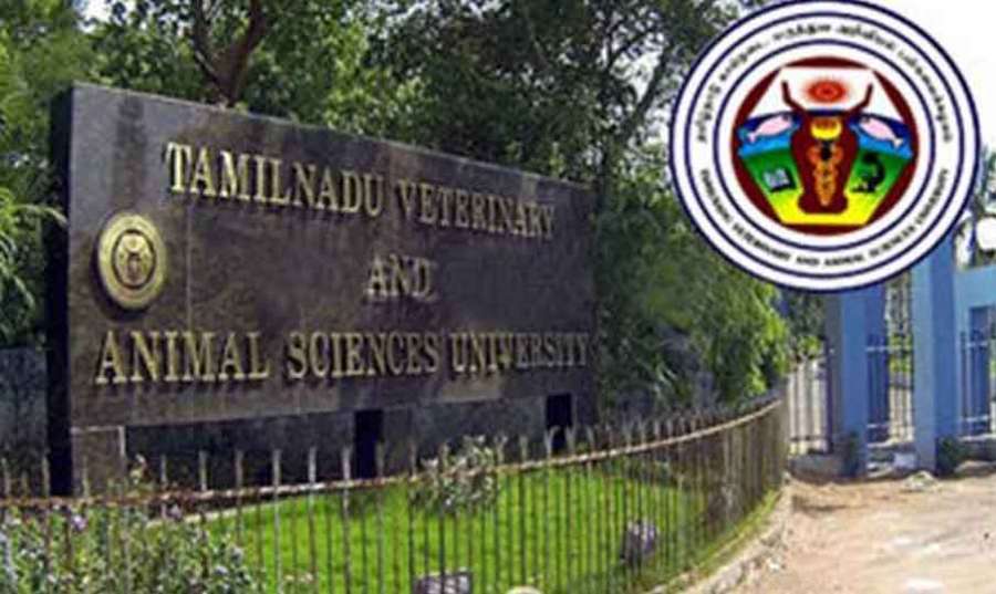 Veterinary 2023 06 11