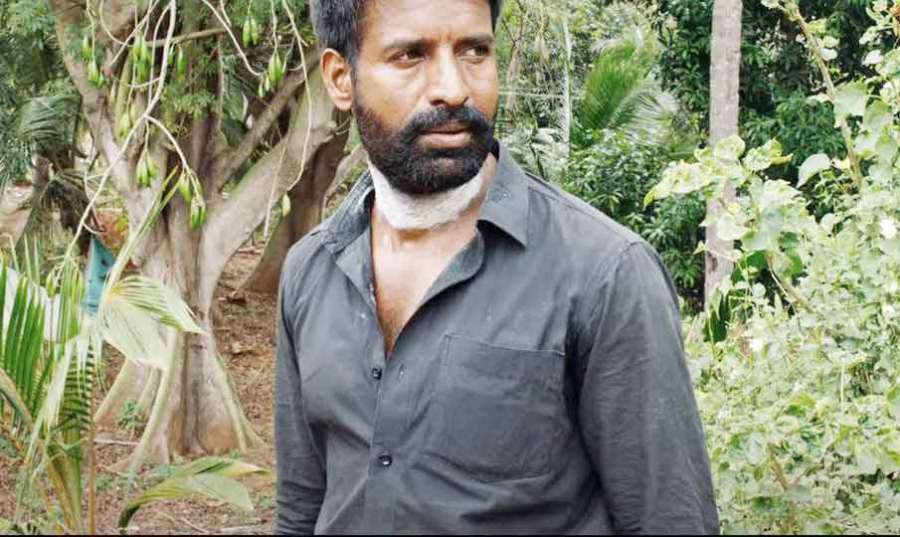 Kotukkali-review 2024-08-26