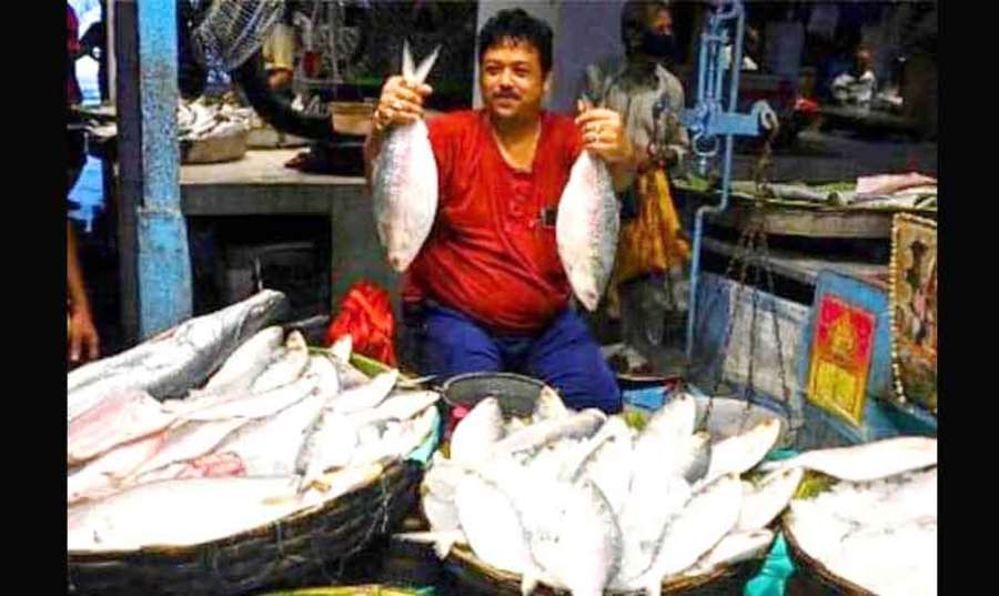Hilsa-fish 2024-09-10