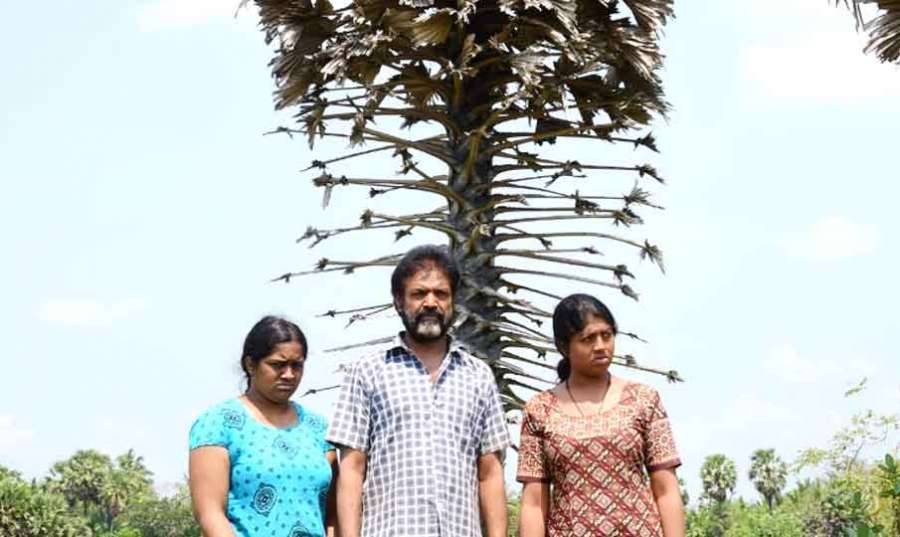 Single-Panaimaram-Review 20