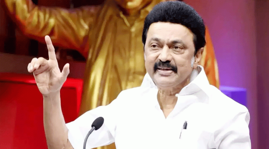 Stalin 2024-12-02
