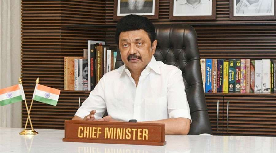 Stalin 2024-12-13