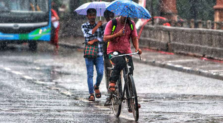 Rain 2024 12 10