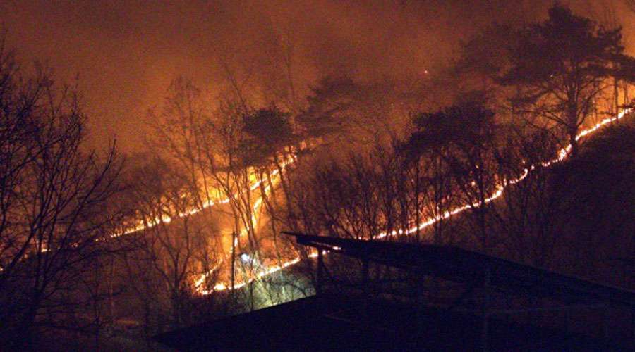 South-Korea-Fire-2025-03-26