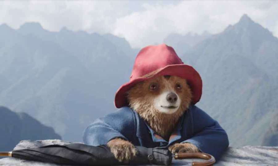 Paddington-in-Peru 2024-04-
