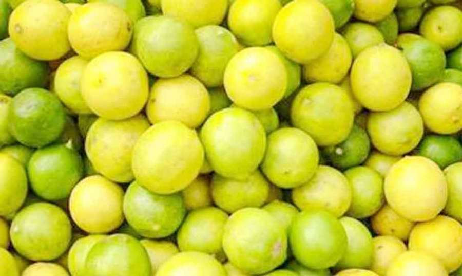 Lemons 2025-04-18