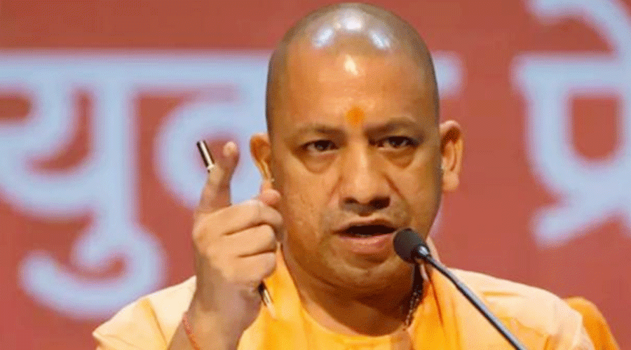 Yogi 2023-12-30